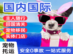 福成机场空运国际宠物托运 【国